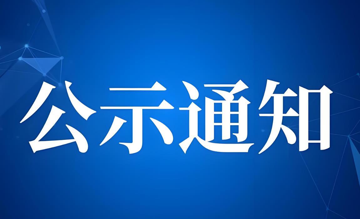 公司公示专用